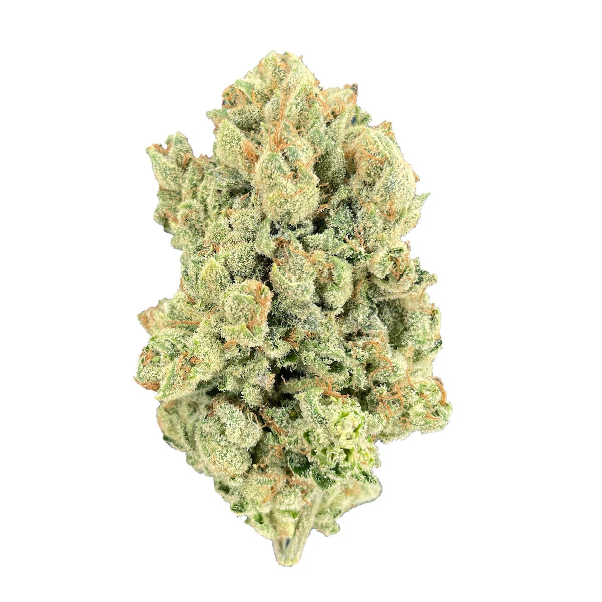 りんりん　オリーブ38 Greenline: Orange Tree | 1/8 | Leafly